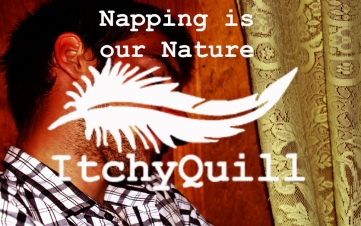 napping logo copy
